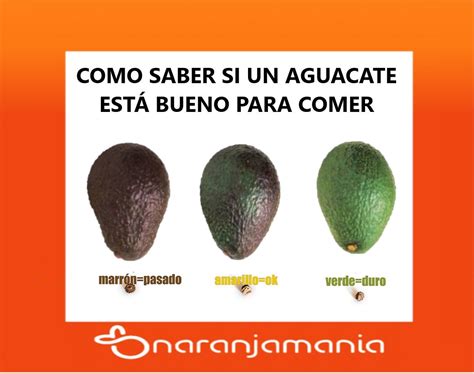 C Mo Saber Si Un Aguacate Est Listo Para Comerse