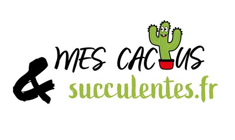 Quel Est Le Meilleur Terreau Pour Les Plantes Succulentes Mes