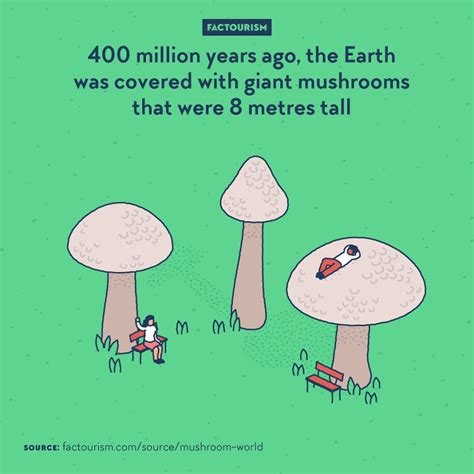 Illustrations Show The Most Fascinating Facts About World