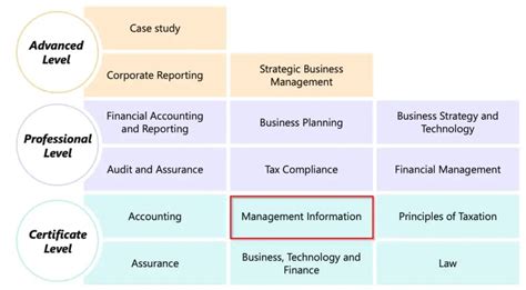 How To Pass The Icaew Aca Management Information Exam The Progression