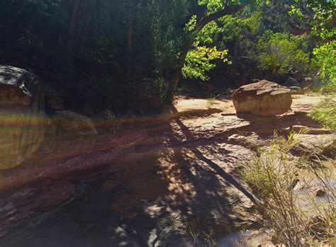 Free Images Tree Forest Wilderness Trail River Pond Stream