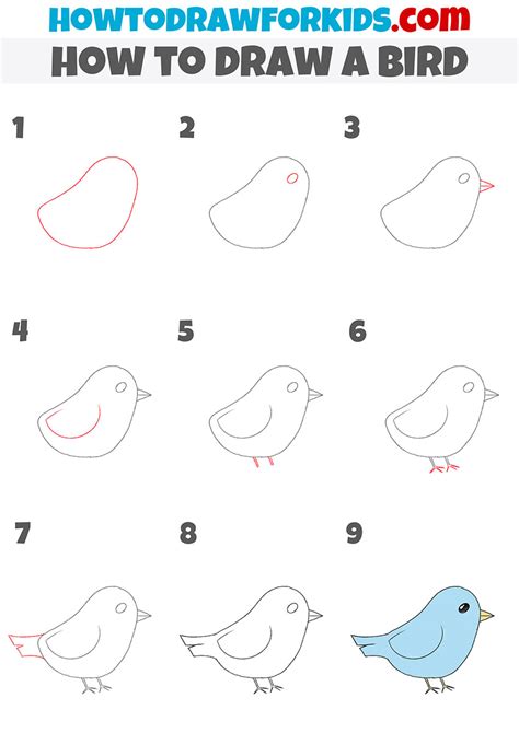 How to Draw a Bird Step by Step - Easy Drawing Tutorial For Kids