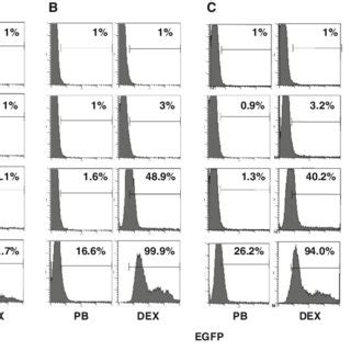 Deae Dextran Facilitates Higher Efficiency Of Lentiviral Transduction