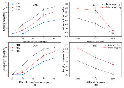 Effects Of Multiple Planting Densities On Lignin Metabolism And Lodging