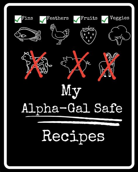 Recipe Book Blank Alpha Gal Recipe Book To Write Down Your Special And