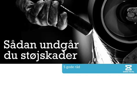 PDF Sådan undgår du støjskader DOKUMEN TIPS