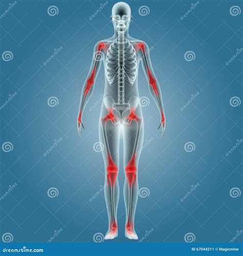 Human Body Bone Pains stock illustration. Illustration of infographic