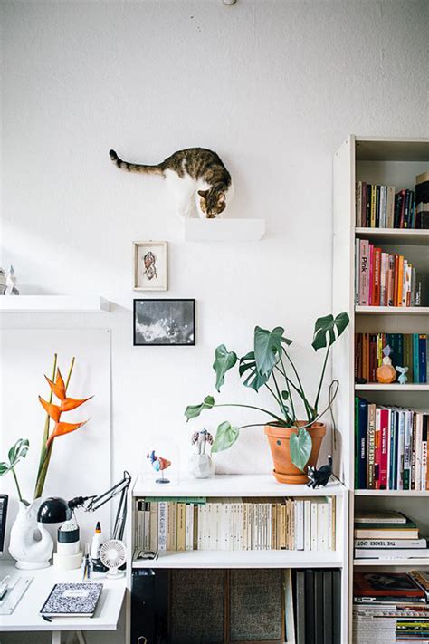 30 Modern Diy Cat Playground Ideas In Your Interior Homemydesign