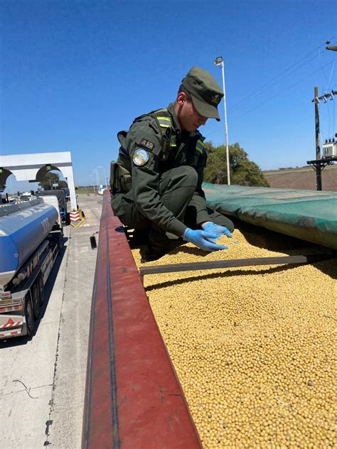 Secuestraron M S De Toneladas De Granos De Ma Z Y Soja En Mendoza Y