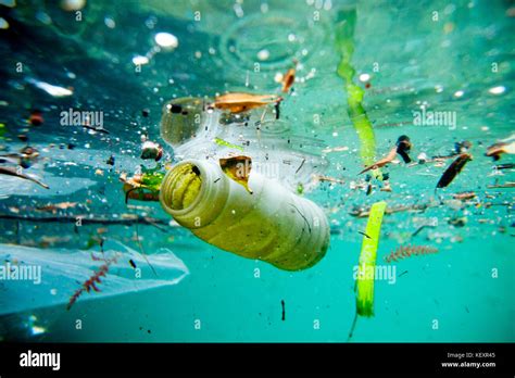 Water Pollution France