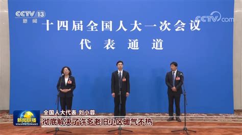 十四届全国人大一次会议第二场“代表通道”开启 新闻频道 央视网