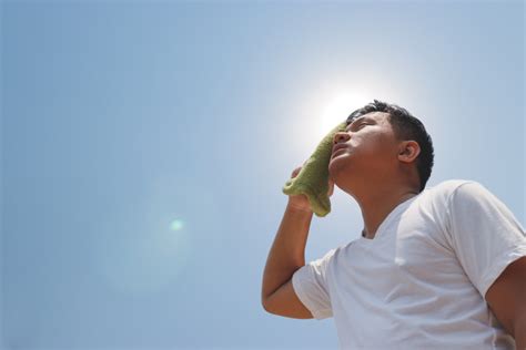 Las Altas Temperaturas ¿cómo Afectan Al Cerebro La Mente Es Maravillosa