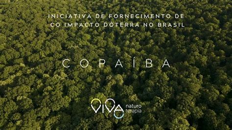 Dōterra Copaíba Iniciativa De Fornecimento De Co Impacto No Brasil Youtube