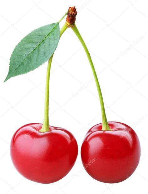 Cherry Stock Photo Valentyn Volkov 3434312