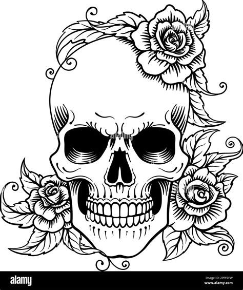 Sugar Skull And Rose Drawing