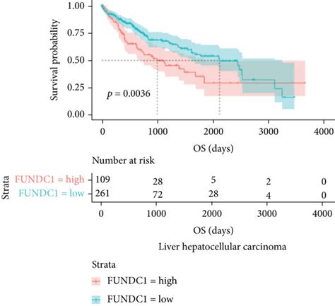 The Prognostic Impact Of Fundc Mrna In Hcc Patients Kaplanmeier