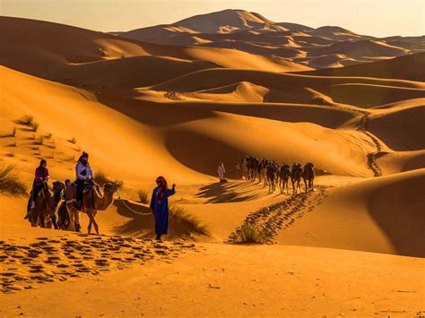 Tours From Casablanca Sahara Guided Tours