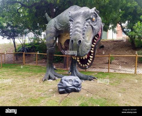 Photo Of The Statue Of A Tyrannosaurus Rex In The Dinosaur Park In