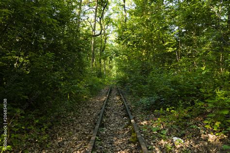 Alte Schienen Im Wald Totes Gleis Im Wald Bahnschienen Im Wald