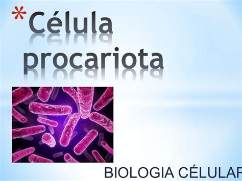 Célula procariota BIOLOGIA CÉLULAR ppt descargar