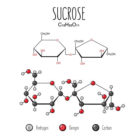 Representación de sacarosa Fórmula esquelética e ilustración de estructura 2d Ilustración de ...