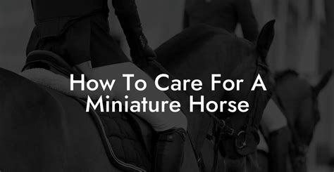 How To Care For A Miniature Horse - How To Own a Horse