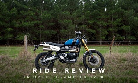 トライアンフ Scrambler 1200XE Seat Low Brown