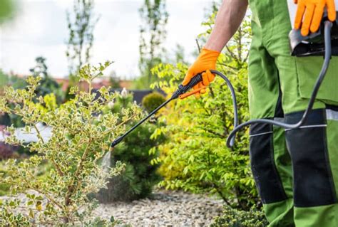 Comment Effectuer Un Traitement Anti Nuisibles Dans Son Jardin