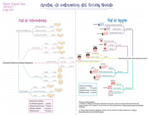 Escalas De Valoraci N Del Reci N Nacido Sara Abarca Esquivel Udocz