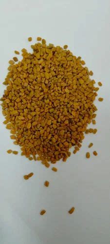 Yellowish Brown Fenugreek Seed Methi At Rs Kg In Agra Id