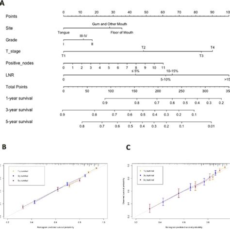 Nomogram Based On Training Cohort A And Calibration Plots Based On