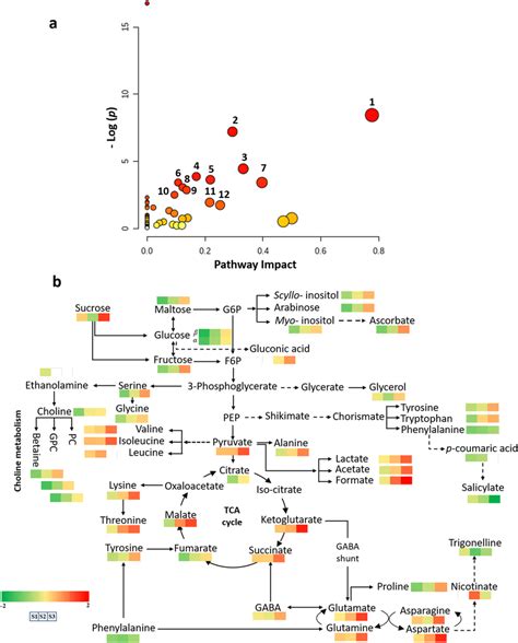 Metabolic Pathway Analysis Metpa Of Mymiv Infected Mungbean Samples