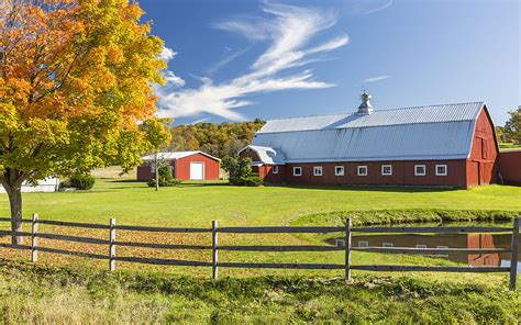 Maine's Open Farm Day will be Live Online