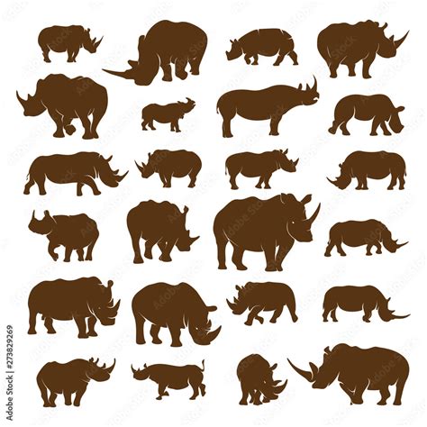 Set of Rhino logo design vector template. Vector rhino silhouette. Icon ...