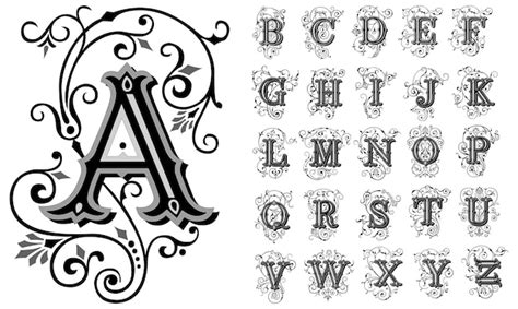 Premium Vector | Vintage decorative font alphabet vector set of hand ...