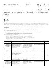 Module Three Simulation Discussion Guidelines And Rubric Eco