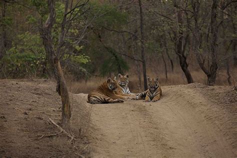 Tipeshwar Wildlife Sanctuary | Wildlife sanctuary, National parks ...