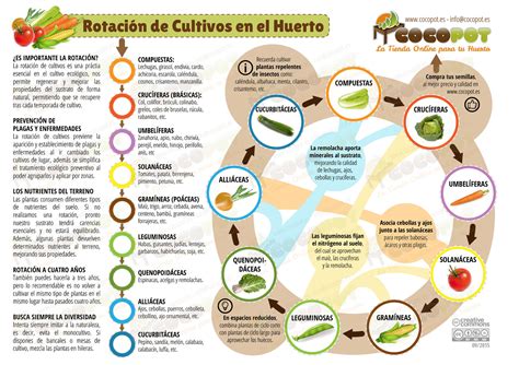 Maximiza Tu Cosecha RotaciÓn De Cultivos Urbana