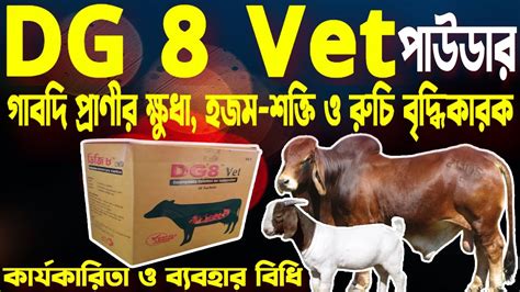 DG 8 Vet Powder গবদ পশর বদহজমর দরতব সমধন পশর পট বযথ ও