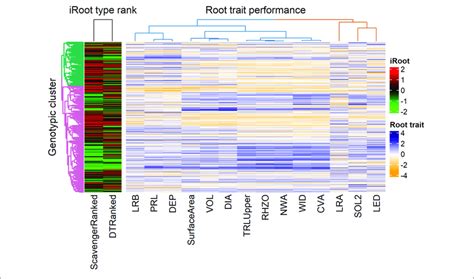 Heat Map Revealing Patterns Between The Genotypic Clusters Iroot Download Scientific Diagram