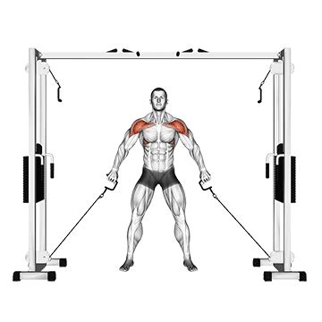 How To: Double Cable Front Raise - Benefits, Muscles Worked