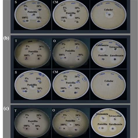 Qualitative Illustration Of Inhibition Zone Diameters Arising From