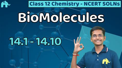 Biomolecules Class 12 Chemistry Chapter 14 Ncert Solutions Questions 1 10 Youtube