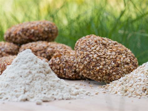 Unlocking quinoa’s protein potential | QUINNOVA Project | Results in ...