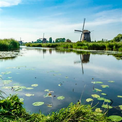 Premium Photo Typical Dutch Landscape In Alkmaar The Netherlands