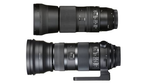 Sigma 150-600 Contemporary vs Sports: let us explain the differences | Digital Camera World