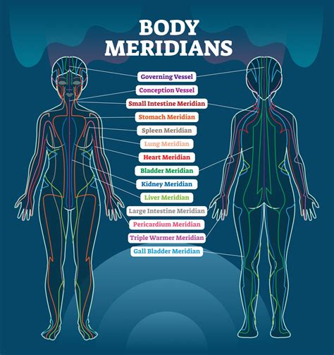 Why tui na, massage used in traditional Chinese medicine, could benefit ...