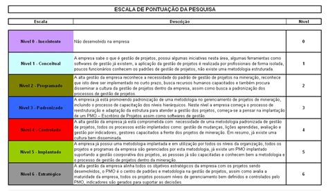 Pmkb Maturidade No Gerenciamento De Projetos Em Uma Empresa De