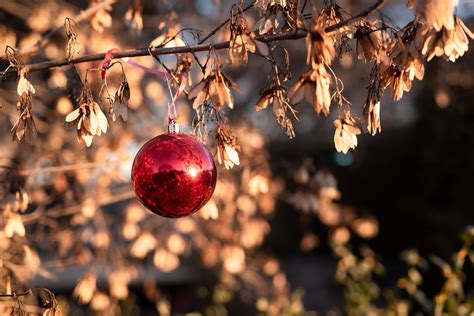 Weihnachten Baum Flitter Christmas Kostenloses Foto Auf Pixabay Pixabay