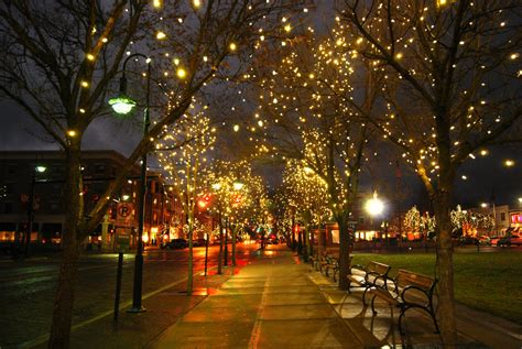 FREE 11+ Twinkle Lights Photography Ideas